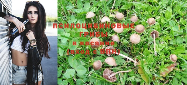 СК Няндома
