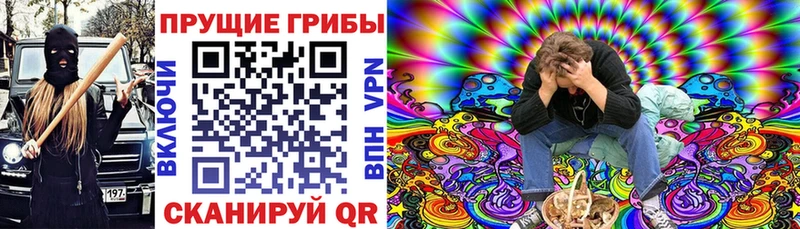 хочу наркоту  Каменск-Уральский  Галлюциногенные грибы MAGIC MUSHROOMS 