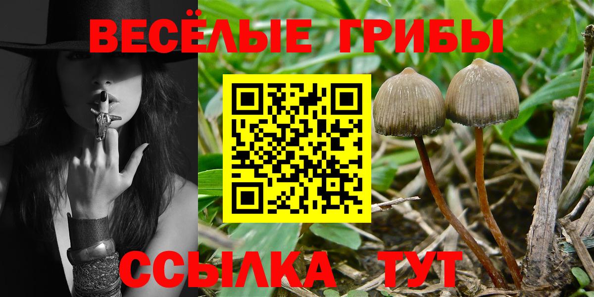 Каменск-Уральский  Псилоцибиновые грибы Psilocybe  Псилоцибиновые грибы мухоморы  Вход с VPN 